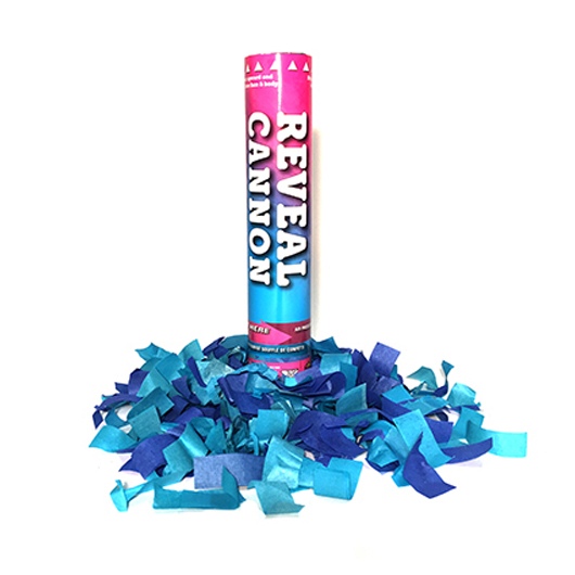 gender reveal cannon